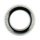 Подшипник CARRARO 642513, CA0642513, 302-5841, 87708444, 0.900.0900.1